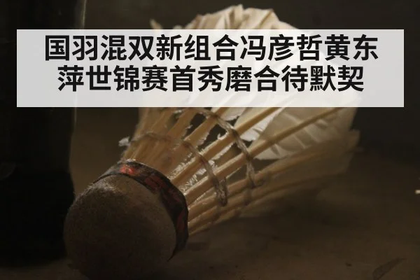 国羽混双新组合冯彦哲黄东萍世锦赛首秀磨合待默契