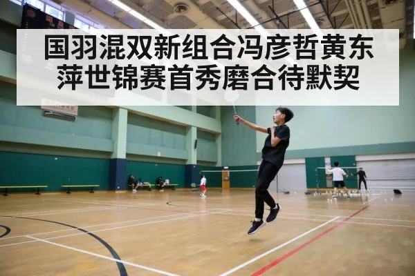 badminton court action