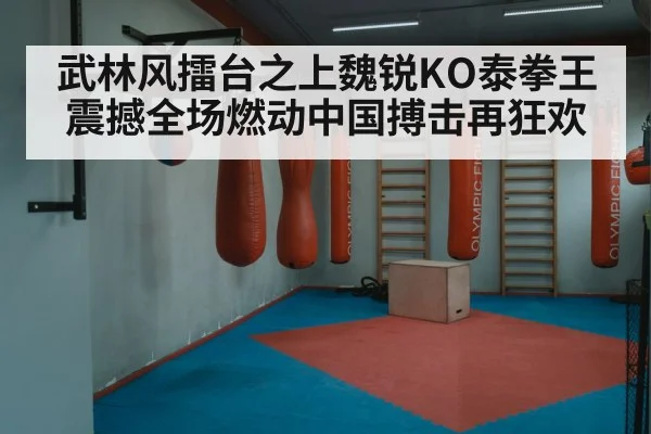 武林风擂台之上魏锐KO泰拳王震撼全场燃动中国搏击再狂欢